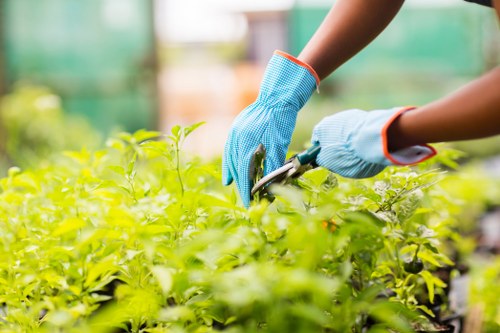 Close-up of a gardener using tactile labels on tools for accessibility