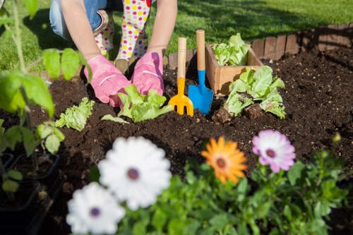 Join us in creating beautiful gardens in Shadwell