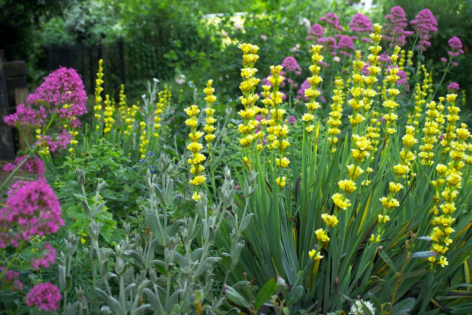 A lush garden scene featuring a variety of flowering plants and greenery. In the foreground, tall yellow flowering plants with elongated green leaves are visible, possibly irises or similar species. T